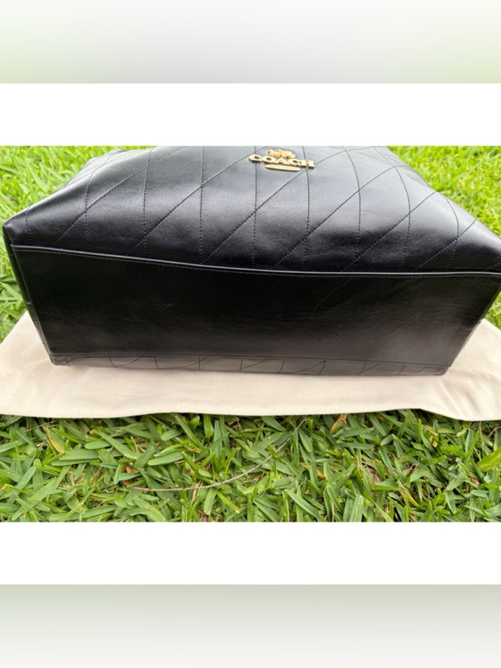Coach Black Evelyn Shoulder Bag - Picture 6 of 10